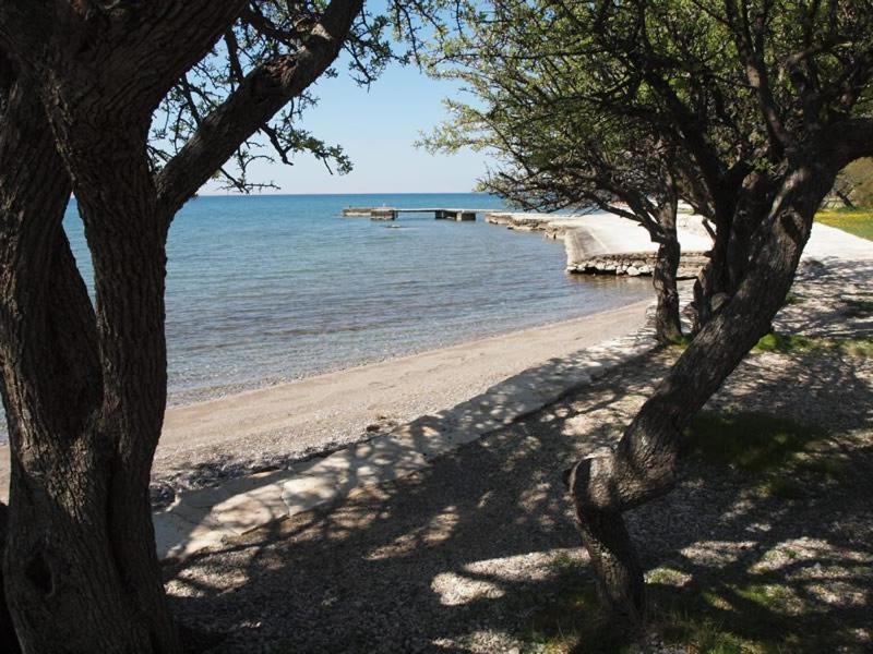 Apartments & Room Masa Starigrad Paklenica Pokój zdjęcie