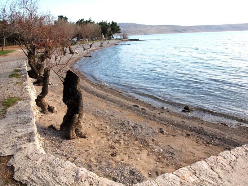Apartments & Room Masa Starigrad Paklenica Pokój zdjęcie